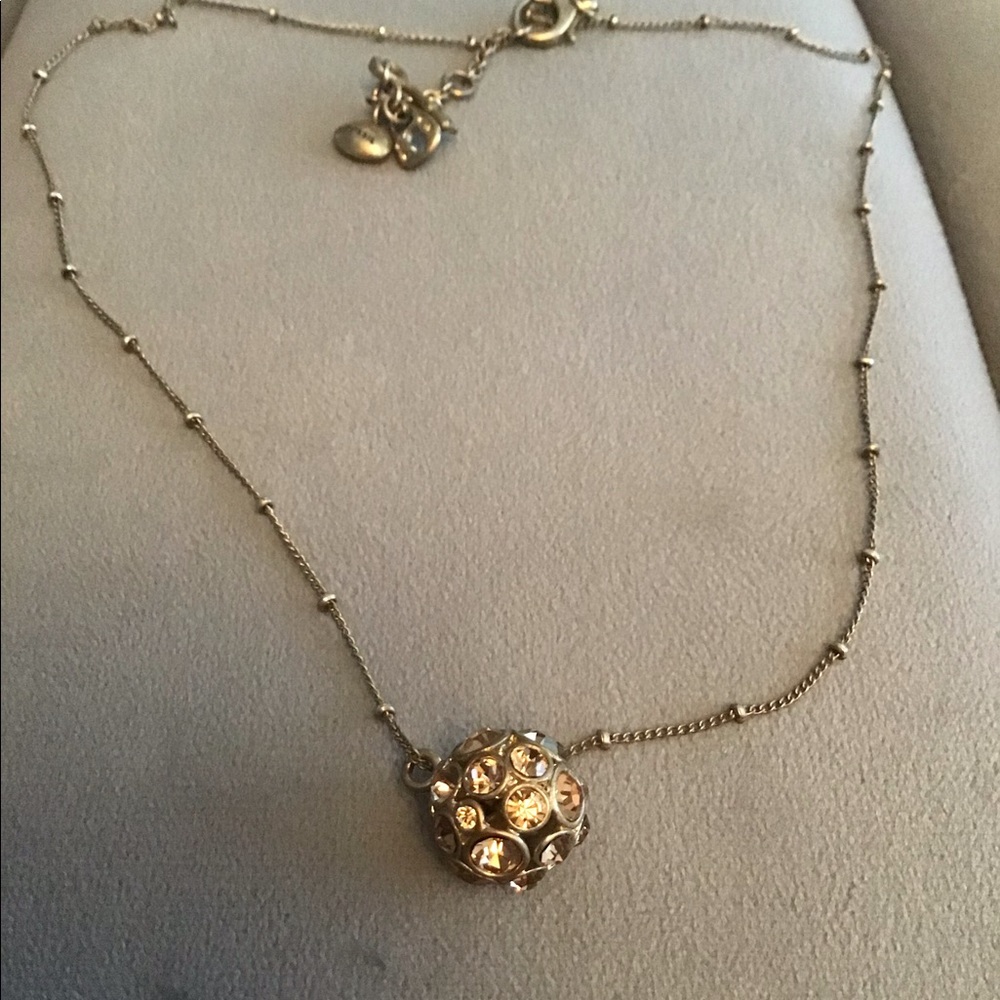 Fossil Necklace